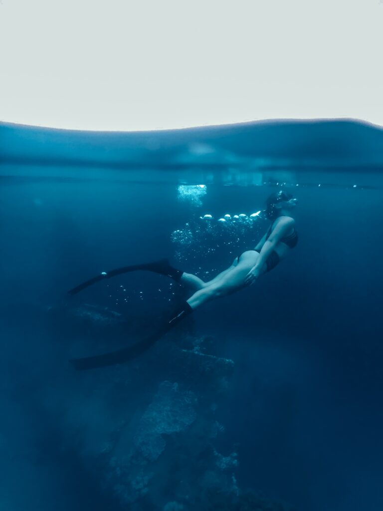 The Beginners Guide To Freediving