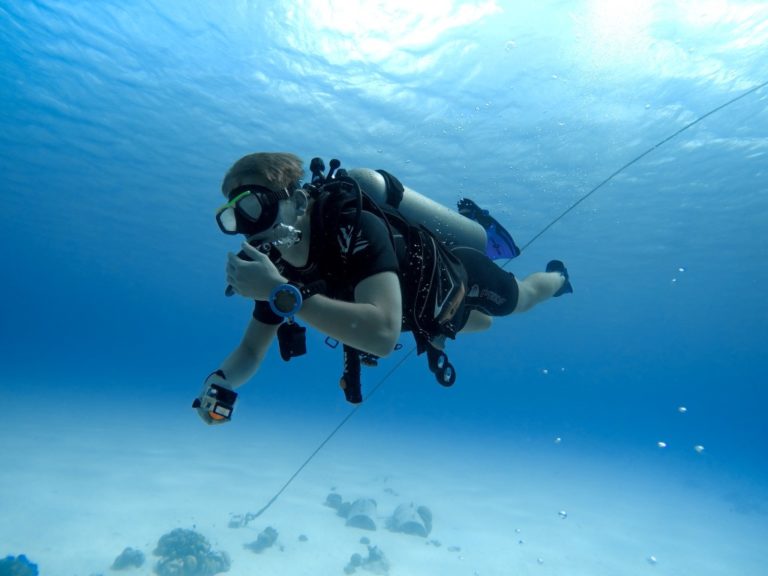 Scuba Diving Certification Costs: The Complete Guide