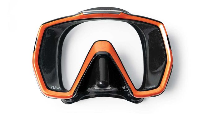 17 Best Scuba Diving Masks